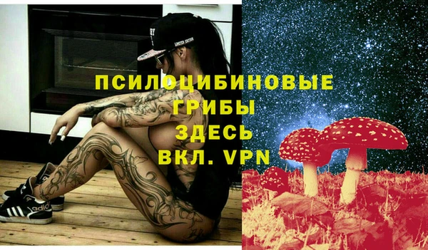 стафф Навашино