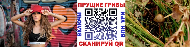 Псилоцибиновые грибы ЛСД  Заволжск 